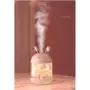 Humidificador Conejo 300ml Rosa