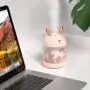 Humidificador Reno 300ml Rosa