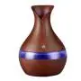 Humidificador Usb 7 Luces Led 300ml Florero