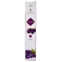 Incienso Lavanda - Alaukik