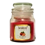 Vela Aromática Frutilla Vidrio - Krishna