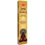 Incienso Yog Chakra - HEM