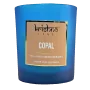 Vela Aromaterapia Copal 18hrs - Krishna
