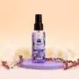 Spray ambientador auto Relax On Lavanda