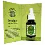 Aceite Aromaterapia Eucalipto - Desi Vibes