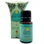 Aceite Aromático Salvia Blanca - Sree Vani
