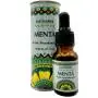 Aceite Aromaterapia Menta - Sai Champa