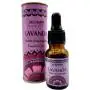 Aceite Aromaterapia Lavanda - Sai Champa