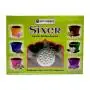 Copas de Incienso Sahumerio Surtido Sixer - Sai Champa