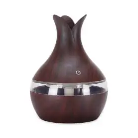 Humidificador Usb 7 Luces Led 300ml Puntas