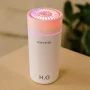 Humidificador H2O Colorful 300ml Rose