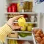 Absorbe Olores para Refrigerador