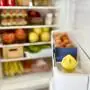 Absorbe Olores para Refrigerador